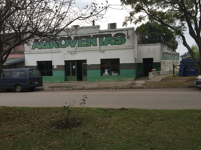 Agroventas Young - Young