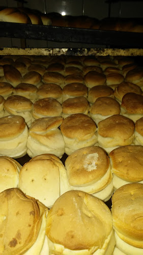 Galedial - Montevideo