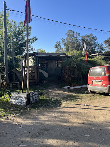 Opinii despre El comienzo în Punta Negra - Gastronomía y hostelería