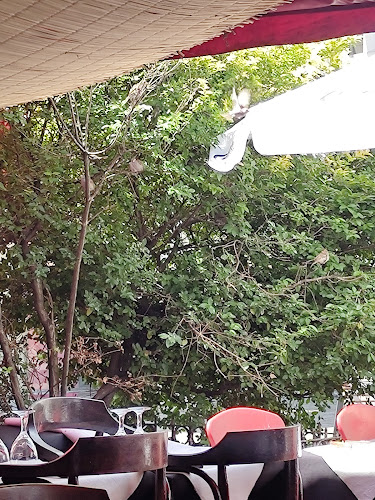 El Palenque - Gastronomía y hostelería