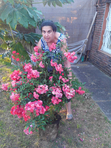 Restaurante Parrillada La Tradición - Gastronomía y hostelería