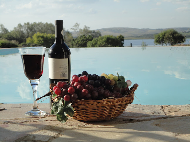 Opinii despre Restaurante Colibri Chakra La Serena în La Capuera - Gastronomía y hostelería