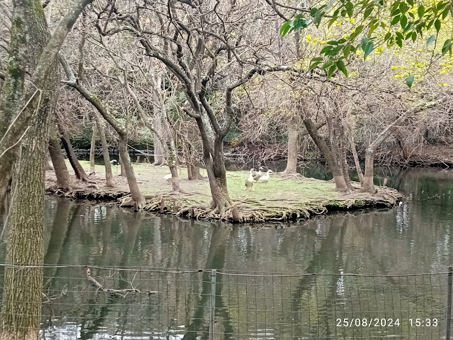 La Casa del Lago - Gastronomía y hostelería