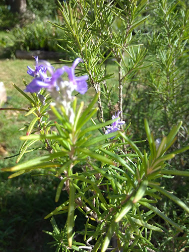 Vivero Flores Y Florcitas - Gastronomía y hostelería