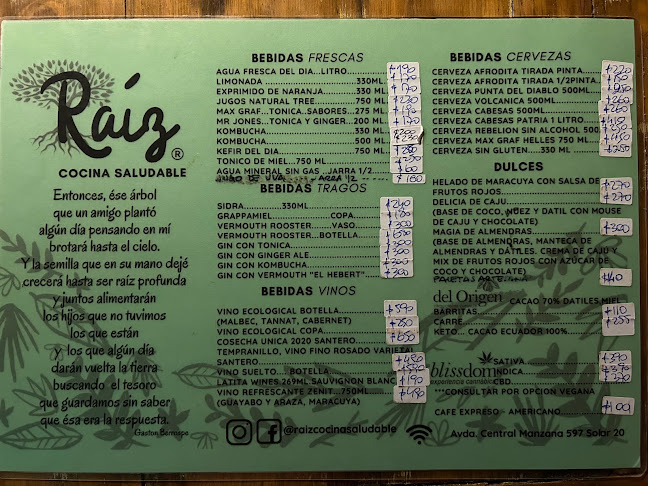 Raíz Cocina Saludable - Punta del Diablo