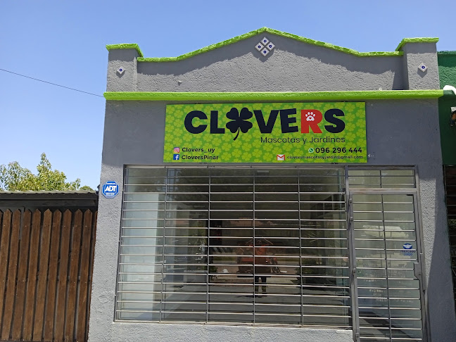 Comentarii opinii despre CABANO Pasta & Pizza