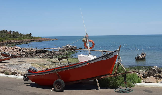 Comentarii opinii despre Carro El TIO