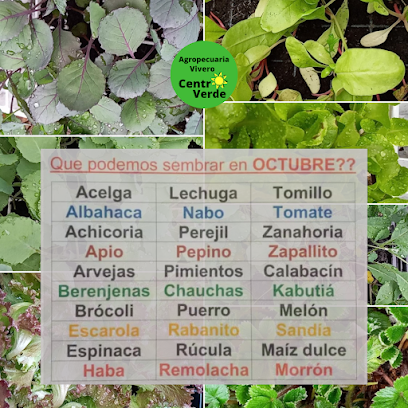AGROPECUARIA y VIVERO CENTRO VERDE