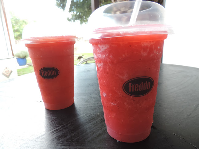 Comentarii opinii despre Freddo