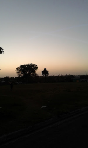 Spiedo "EL BUEN SABOR" - Gastronomía y hostelería