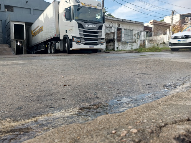 Comentarii opinii despre Productos Porcinos Propios