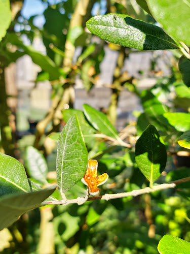 Opinii despre Lo de Joselo în Rocha - Gastronomía y hostelería