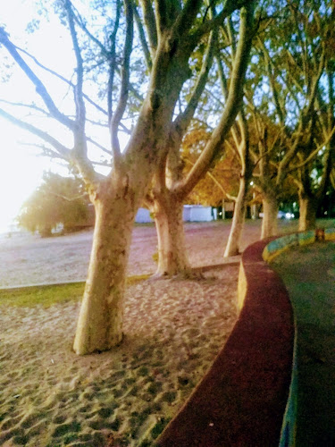 Comentarii opinii despre Lo de Porota