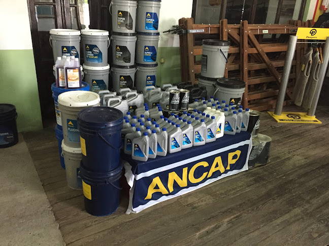 Comentarii opinii despre Agroventas Paso de los Toros