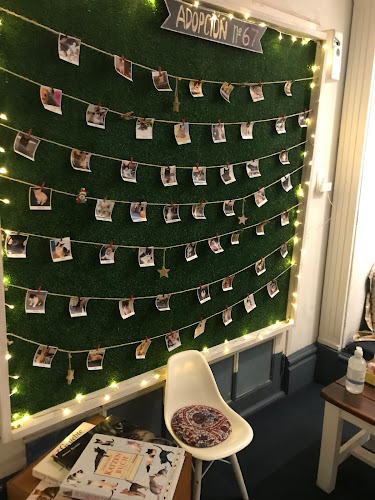 ADRIANUZCA'S CAT CAFÉ ☕🐈 - Punta del Este