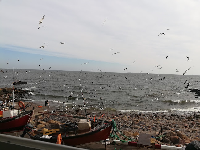 Opinii despre Pescaderia LA ESTRELLA în Maldonado - Gastronomía y hostelería