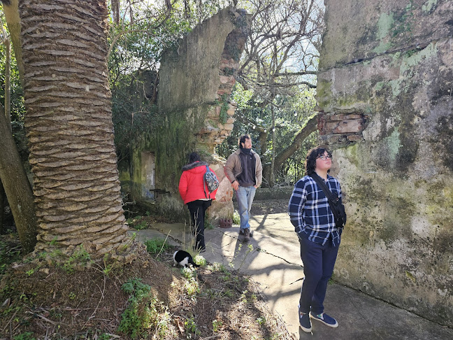 Comentarii opinii despre Cantina Mataojo - La Dacha