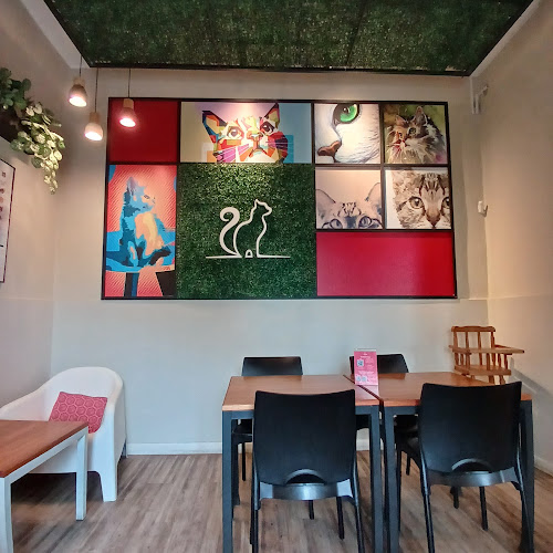 Opinii despre Telizzia Cat Café în Montevideo - Gastronomía y hostelería