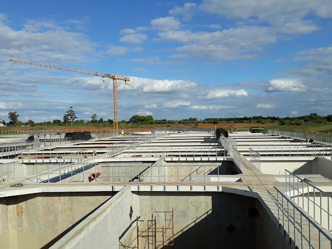 Montevideo entre, Hervidero y, 65100 Young, Departamento de Río Negro