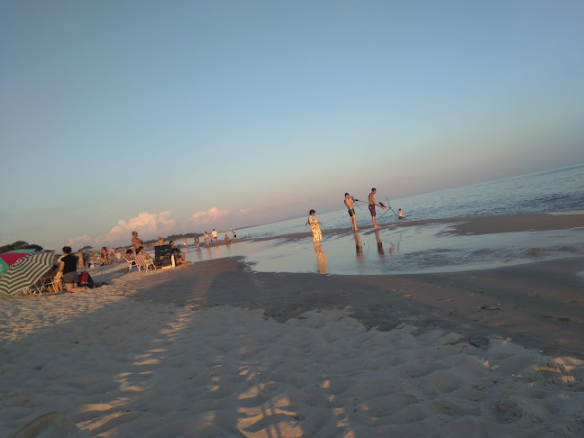 Chiringuito Arenas Del Pinar - Gastronomía y hostelería