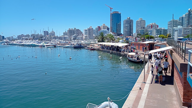 Lo de Tere - Punta del Este