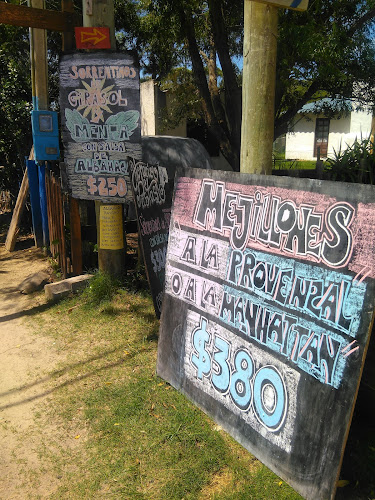 Horacio Pastas - Rocha