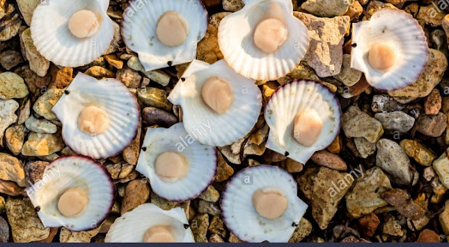 Liceo Núm. 3 de Las Piedras, italia102 las piedras frente, 90200 Las Piedras