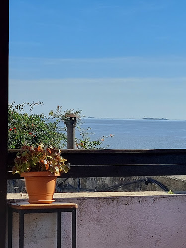 Comentarii opinii despre Restoran Picasso