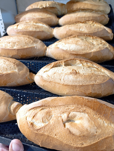 Opinii despre Panadería Rumbo în Maldonado - Gastronomía y hostelería