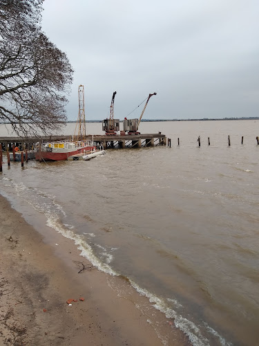 Comentarii opinii despre Wolves