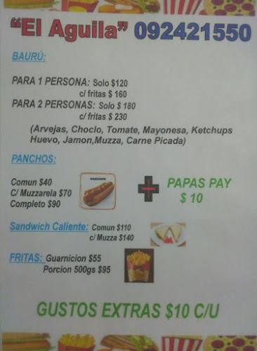 Minigrill El Aguila Salto - Salto