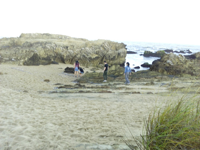 La Negra RestoPub - Gastronomía y hostelería