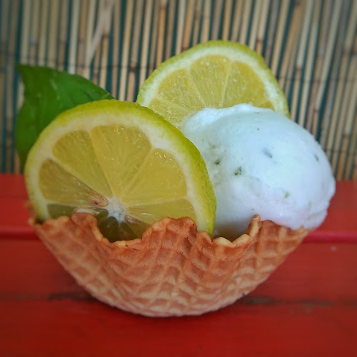 Basilio Araújo 1052, Dr. Roman Bergalli Esquina, 20000 Maldonado