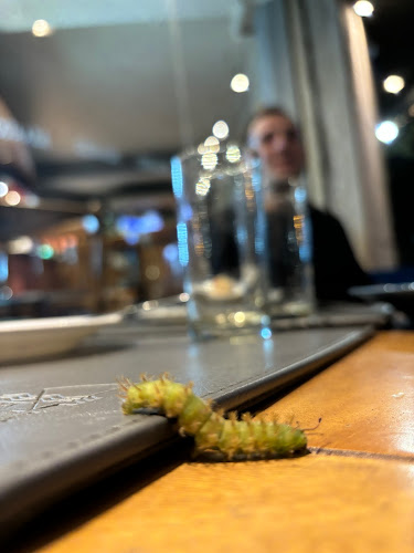 Canelones 2404, 11300 Montevideo, Departamento de Montevideo