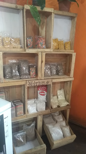 Delicias Saludables - Gastronomía y hostelería