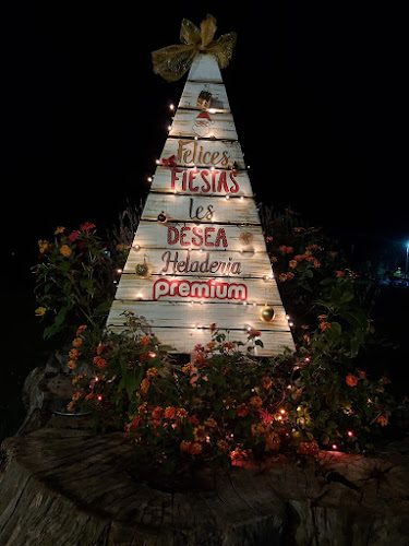 Comentarii opinii despre Heladería Premium