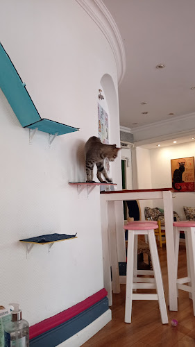 Av. Juan Gorlero 535, 20100 Punta del Este, Departamento de Maldonado