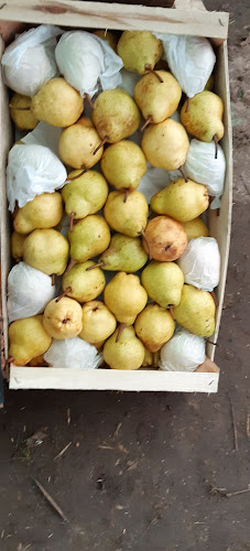 Comentarii opinii despre Frutas & Hortalizas "NAHUEL"