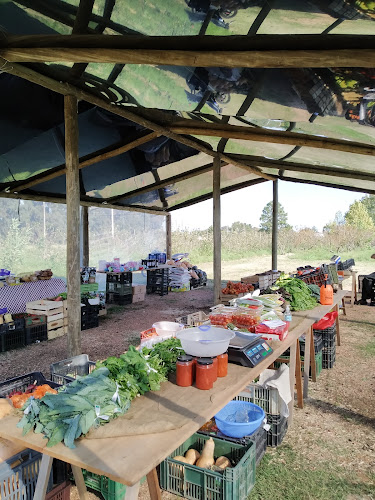 Feria Organica Chacra Melilla - Gastronomía y hostelería