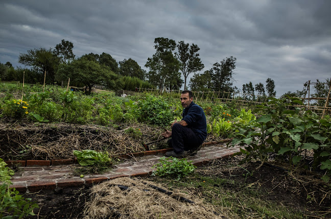 Huerta agroecologica Espiral del Sol