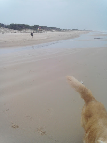 4XPX+CHQ, 15000 Ciudad de la Costa, Departamento de Canelones