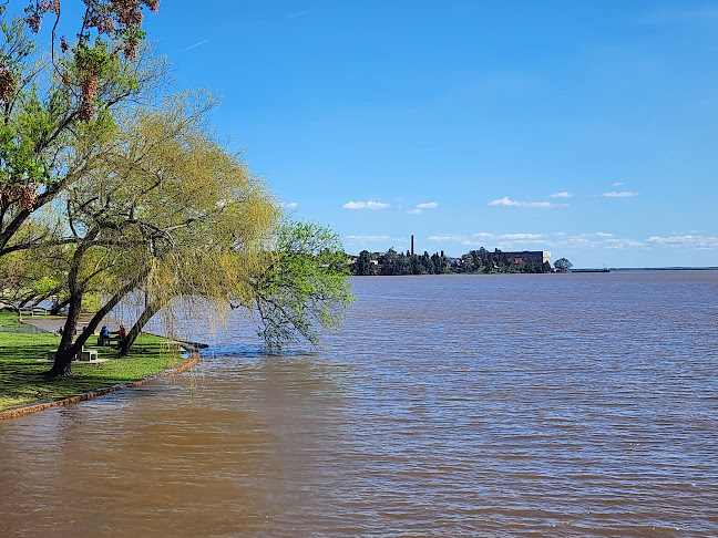 Resto-cafe Del Remeros - Gastronomía y hostelería