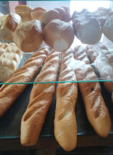Opinii despre Panadería Estrella Del Sur în Ansina - Gastronomía y hostelería