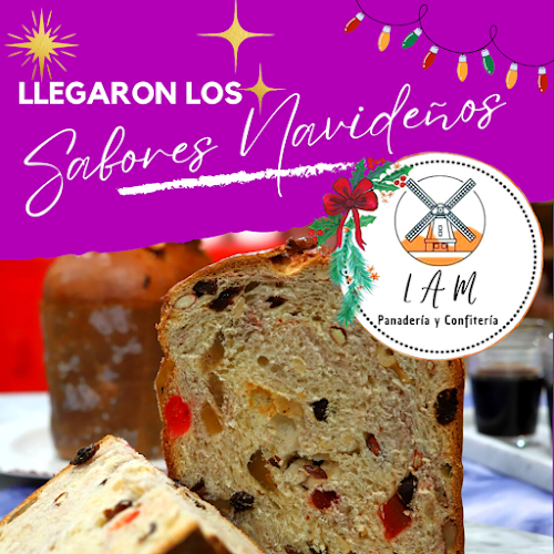 Comentarii opinii despre LAM