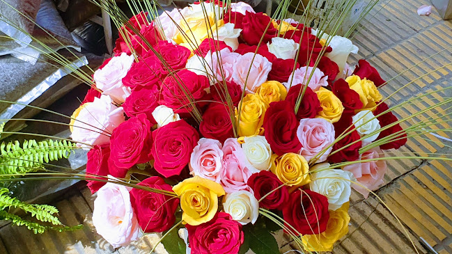 Comentarii opinii despre Floreria El LICO