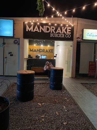 Mandrake - Gastronomía y hostelería