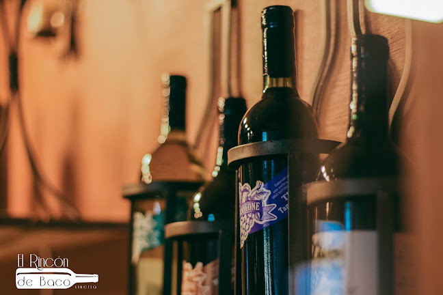 Comentarii opinii despre El Rincon De Baco