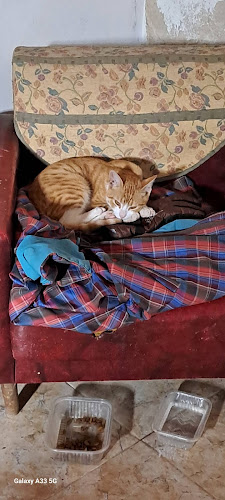 Comentarii opinii despre Pase y lleve