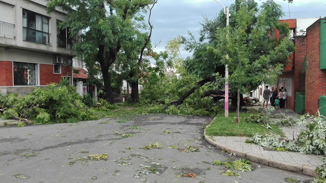 Carlos Federico Saez 6695, 11500 Montevideo, Departamento de Montevideo