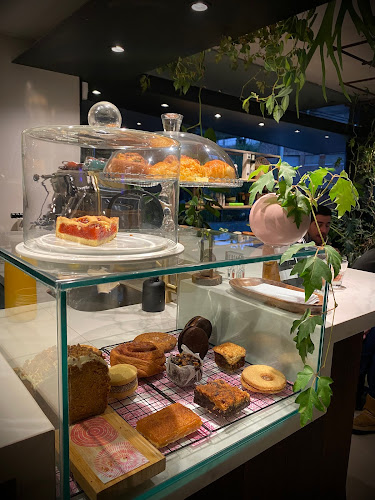 Comentarii opinii despre PLATZ Opta